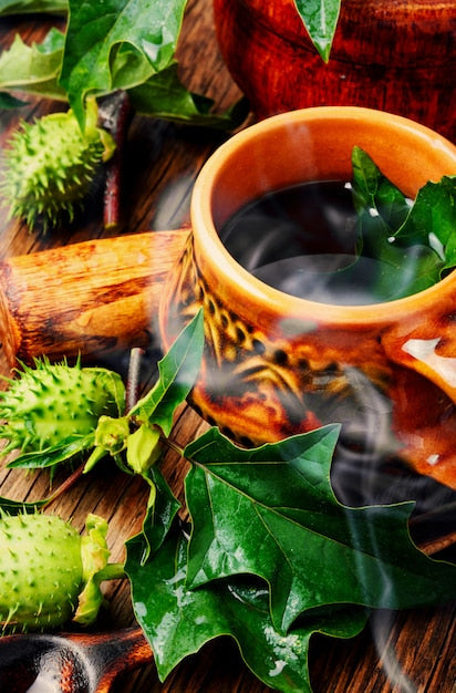 Kräutertee in einer Keramiktasse mit grünen Blättern und Samen auf Holztisch, Naturkräuter