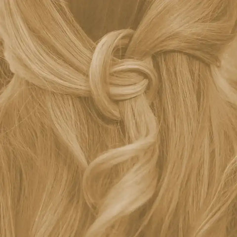 Nahaufnahme von warm blondem Haar mit geflochtener Frisur, Haarstyling, natürliches Blond.