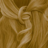 Professional Plant Hair Colour SET Warm Sahara Blond