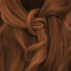warm chestnut Brown