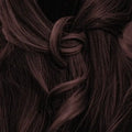 Mahagoni-schwarzes Haar mit geflochtenem Zopf, Nahaufnahme, Haarfarbe Inspiration