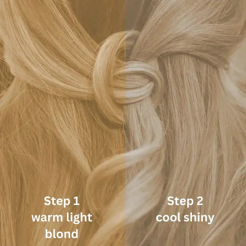 Profi-Pflanzenhaarfarbe kühles Hell-Blond "cool light blond in 2-Steps" 2x 90g Nachfüllpacks