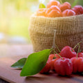 Bio Acerola Pulver (Vitamin-C-Drink) - VITALOVE - Naturprodukte