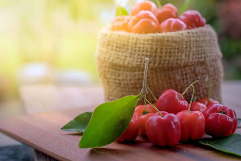 Bio Acerola Pulver (Vitamin-C-Drink) - VITALOVE - Naturprodukte