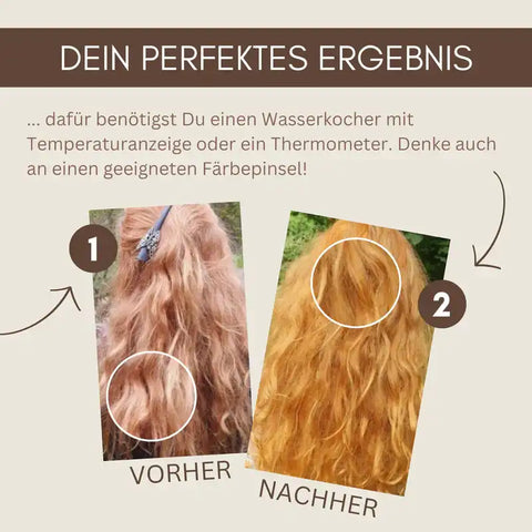 Profi-Pflanzenhaarfarbe SET "warmes helles Kupfer-Blond - warm tizian blond"