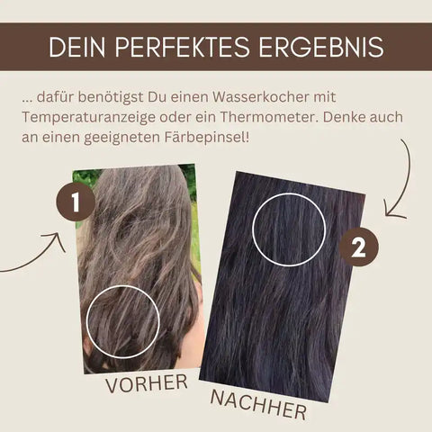 Professional Plant Hair Colour SET Cool Deep Mahogany Brown