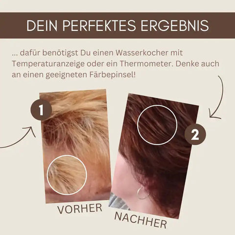 Professional Plant Hair Colour SET Warm Nougat Brown