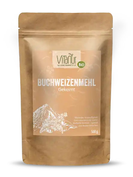 Vitanur Bio Buchweizenmehl Gekeimt 500g in brauner Verpackung mit pflanzlichem Motiv