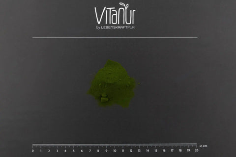 Grünes Bio Grassaftpulver von VitaNur auf dunklem Hintergrund, Maßstabsleiste unten