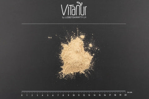 Bio Protein Vegan Pulver von Vitanur auf schwarzem Hintergrund mit Maßstab in cm