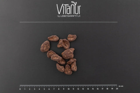 Bio Schokobohne Stücke auf schwarzem Hintergrund mit Vitanur Logo und Zentimeterskala