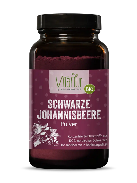 Vitanur Bio Schwarze Johannisbeere Pulver Glas, lila Etikett, 125g Superfood