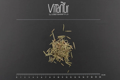 Bio Tannennadeln getrocknet auf schwarzem Hintergrund mit Lineal und VitaNur Logo