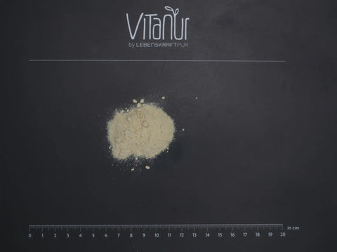 Bio Yacon Pulver auf schwarzem Untergrund mit Lineal, Vitanür Branding