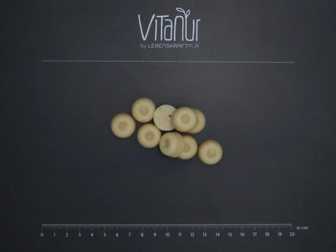 Bio Zahnkristalle Xylit Ingwer Bonbons auf schwarzem Hintergrund mit VITANUR Logo und Lineal