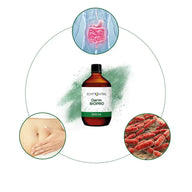 Echt Vital Darm Biopro Flasche mit Darmgrafik, Bauch und Mikroorganismen, Nahrungsergänzung
