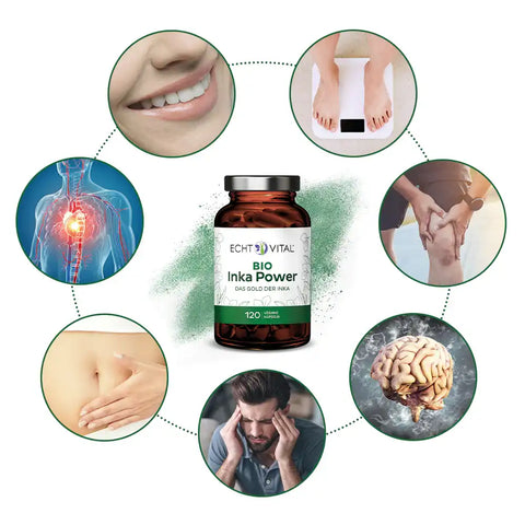 Bio Inka Power Kapseln von Echt Vital, umgeben von Symbolen für Gesundheit, Herz, Gehirn, Abnehmen, Gelenke, Stress und Verdauung.