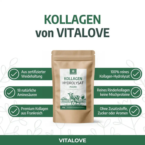 Kollagen Hydrolysat Pulver Fakten Typ I II III