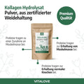 Kollagen Hydrolysat Pulver neutral und gut löslich