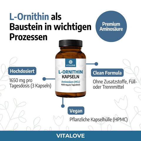 L-Ornithin-Kapseln-VITALOVE