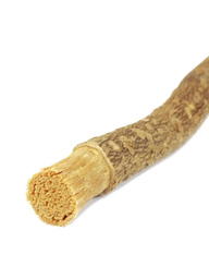 Miswak Zahnbürste aus Naturholz, naturbelassen, auf neutralem Hintergrund