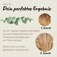 Coloration capillaire végétale professionnelle blond d'été froid "cool summer blond in 2-Steps" 2x 90g recharges