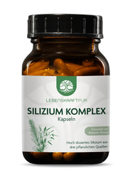 Lebenskraftpur Silizium Komplex Kapseln in braunem Weithalsglas mit pflanzlicher Grafik