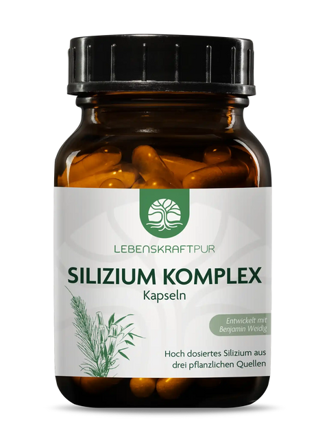 Lebenskraftpur Silizium Komplex Kapseln in braunem Weithalsglas mit pflanzlicher Grafik