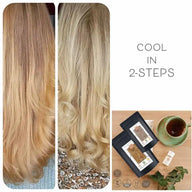 Coloration capillaire végétale professionnelle blond d'été froid "cool summer blond in 2-Steps" 2x 90g recharges