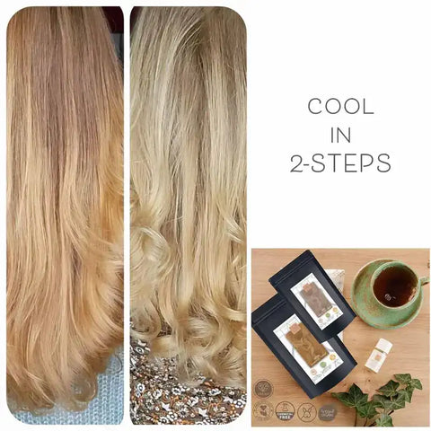 Coloration capillaire végétale professionnelle blond d'été froid "cool summer blond in 2-Steps" 2x 90g recharges