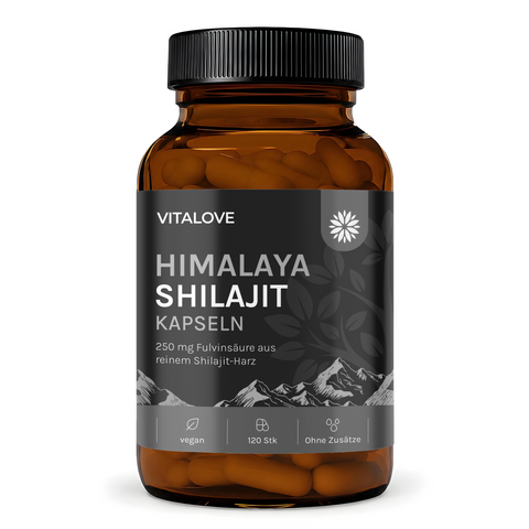 Shilajit Kapseln (Himalaya Naturharz) – 120 Kapseln
