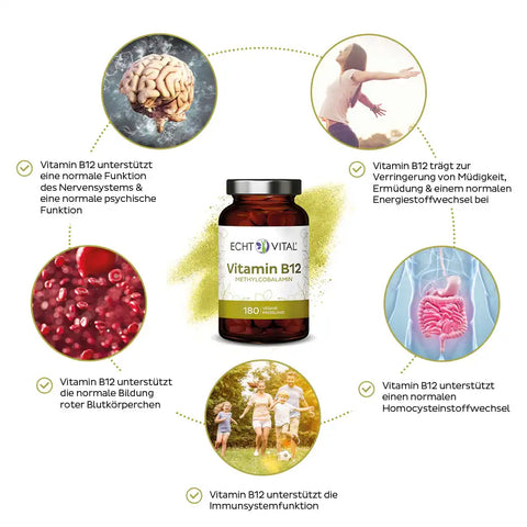 Echt Vital Vitamin B12 Dose im Zentrum, umgeben von Gehirn, Blutkörperchen, Darm und aktiven Menschen, mit deutschen Gesundheitshinweisen.