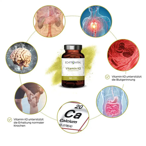 Echt Vital Vitamin K2 Kapseln mit Illustrationen zu Herz, Blut, Knochen, Gehirn, Calcium, Darm.