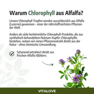 Chlorophyll Drops (Natural from Alfalfa) - 50 ml