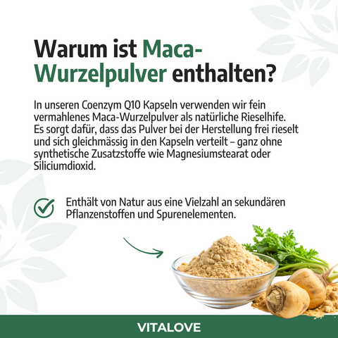 Maca Wurzelpulver als Bestandteil der Q10 Kapseln