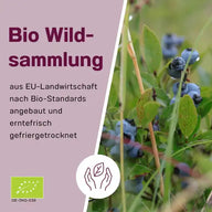 Bio Wildheidelbeerpulver - 200g