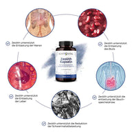 Echt Vital Zeolith Kapseln Dose mit Illustrationen zu Nieren, Blut, Leber, Bauchspeicheldrüse, Schwermetallen
