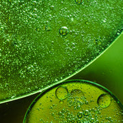 Chlorophyll