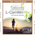 L-Carnitin - Kapseln (Vita) - VITALOVE - Naturprodukte