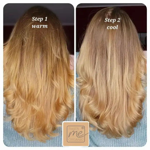 Profi-Pflanzenhaarfarbe kühles Hell-Blond "cool light blond in 2-Steps" 2x 90g Nachfüllpacks