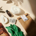 Haarfarbe Set mit Handschuhen, brauner Flasche, Watte, Teebeutel, Papiertüte, Stirnband