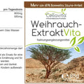Weihrauch-Extrakt Vita | 150 Kapseln im Glas (>65% Boswellia-Säuren-Anteil) - VITALOVE - Naturprodukte